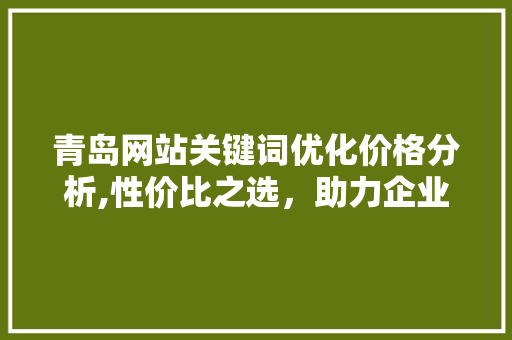 青岛网站关键词优化价格分析,性价比之选，助力企业网络营销