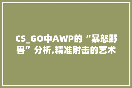 CS_GO中AWP的“暴怒野兽”分析,精准射击的艺术与步骤