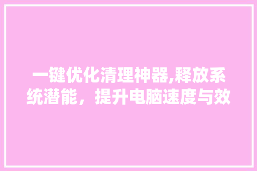 一键优化清理神器,释放系统潜能，提升电脑速度与效率