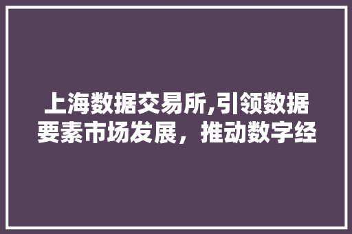上海数据交易所,引领数据要素市场发展，推动数字经济新引擎