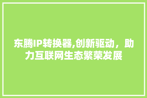 东腾IP转换器,创新驱动，助力互联网生态繁荣发展