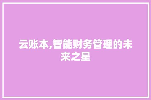 云账本,智能财务管理的未来之星