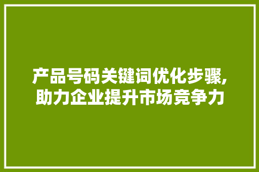 产品号码关键词优化步骤,助力企业提升市场竞争力 SEO教程