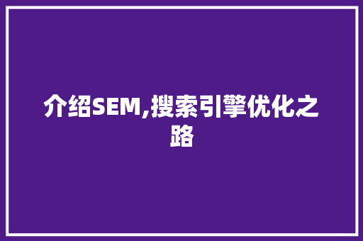 介绍SEM,搜索引擎优化之路 WordPress教程