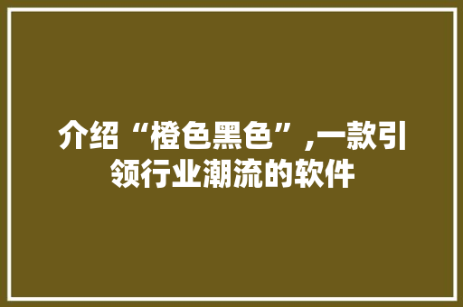 介绍“橙色黑色”,一款引领行业潮流的软件
