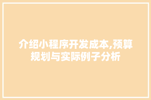 介绍小程序开发成本,预算规划与实际例子分析