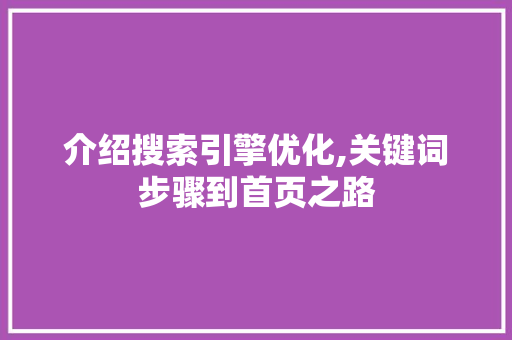 介绍搜索引擎优化,关键词步骤到首页之路