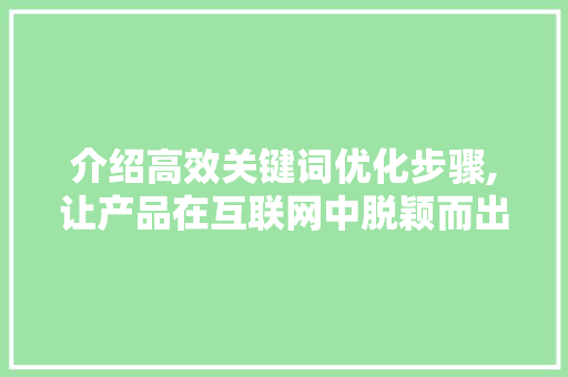 介绍高效关键词优化步骤,让产品在互联网中脱颖而出