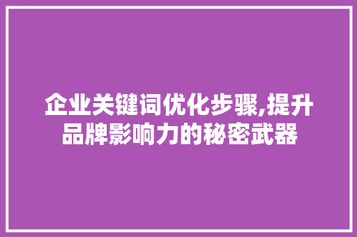 企业关键词优化步骤,提升品牌影响力的秘密武器