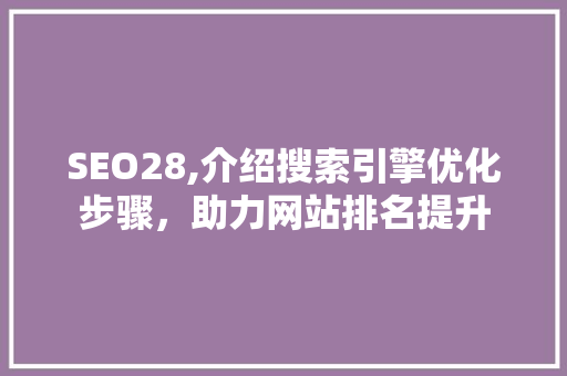 SEO28,介绍搜索引擎优化步骤，助力网站排名提升