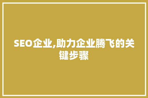 SEO企业,助力企业腾飞的关键步骤