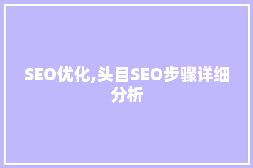 SEO优化,头目SEO步骤详细分析