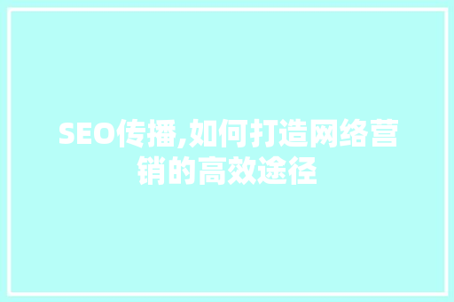 SEO传播,如何打造网络营销的高效途径