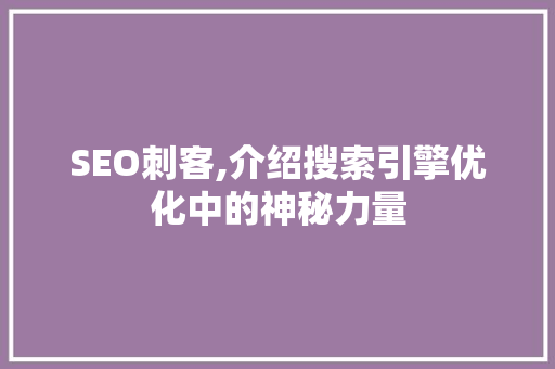 SEO刺客,介绍搜索引擎优化中的神秘力量