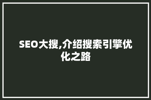 SEO大搜,介绍搜索引擎优化之路