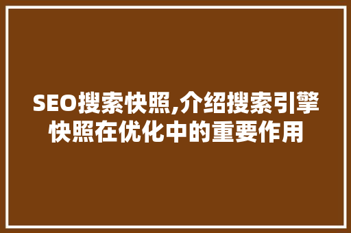 SEO搜索快照,介绍搜索引擎快照在优化中的重要作用