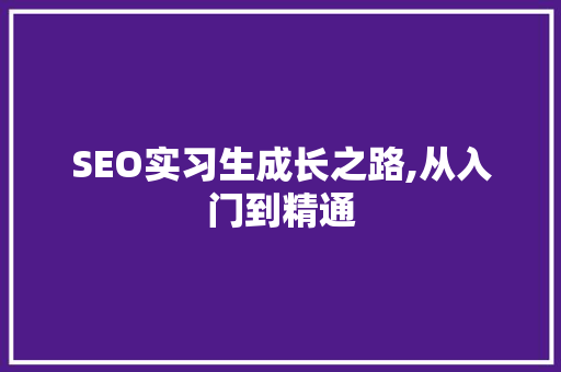 SEO实习生成长之路,从入门到精通