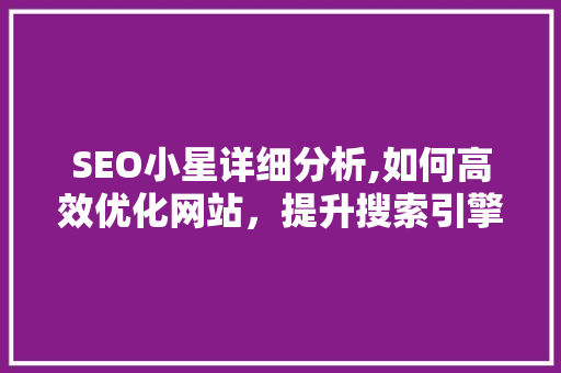 SEO小星详细分析,如何高效优化网站，提升搜索引擎排名