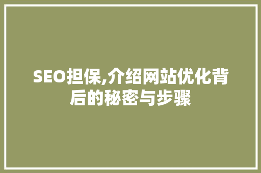 SEO担保,介绍网站优化背后的秘密与步骤