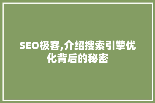 SEO极客,介绍搜索引擎优化背后的秘密 服务器/数据库
