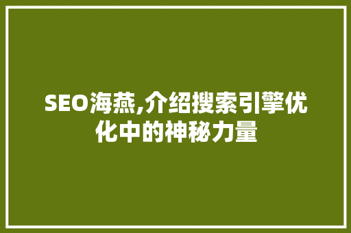 SEO海燕,介绍搜索引擎优化中的神秘力量