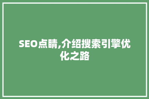 SEO点睛,介绍搜索引擎优化之路