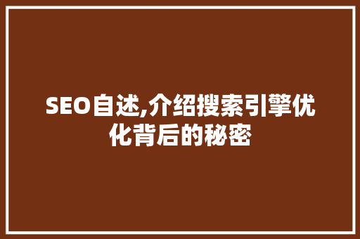 SEO自述,介绍搜索引擎优化背后的秘密
