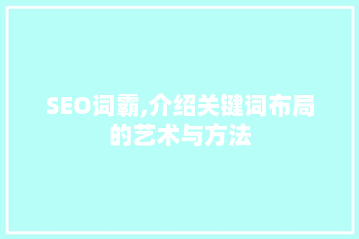SEO词霸,介绍关键词布局的艺术与方法