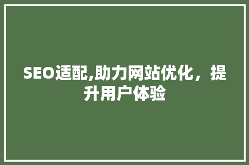 SEO适配,助力网站优化，提升用户体验