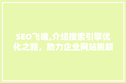 SEO飞唯,介绍搜索引擎优化之路，助力企业网站脱颖而出