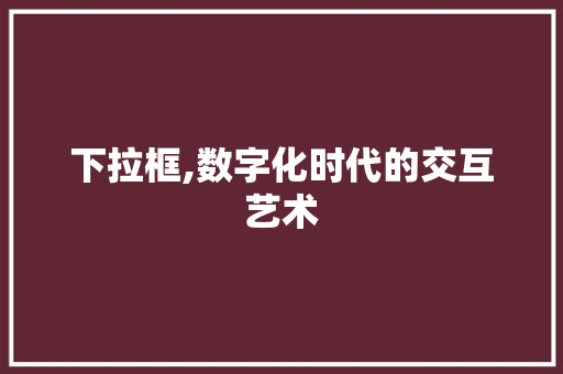 下拉框,数字化时代的交互艺术