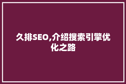 久排SEO,介绍搜索引擎优化之路