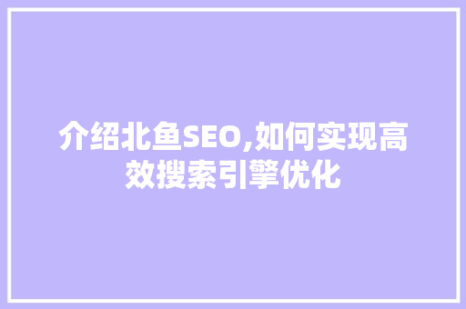 介绍北鱼SEO,如何实现高效搜索引擎优化