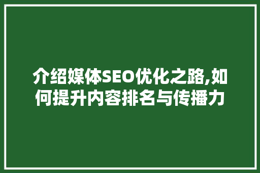 介绍媒体SEO优化之路,如何提升内容排名与传播力