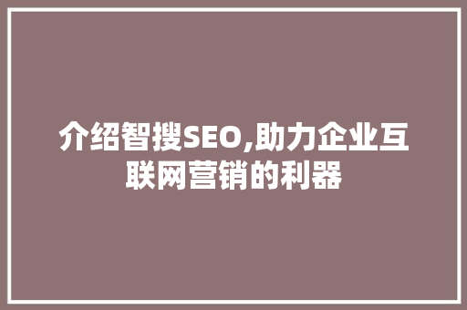 介绍智搜SEO,助力企业互联网营销的利器