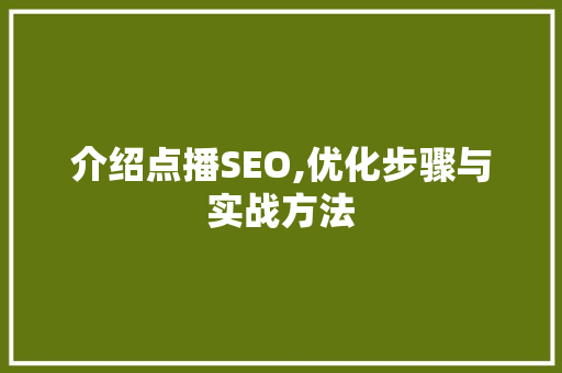 介绍点播SEO,优化步骤与实战方法