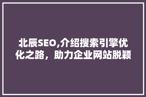 北辰SEO,介绍搜索引擎优化之路，助力企业网站脱颖而出