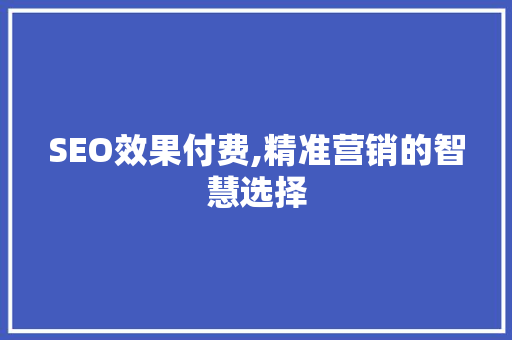 SEO效果付费,精准营销的智慧选择