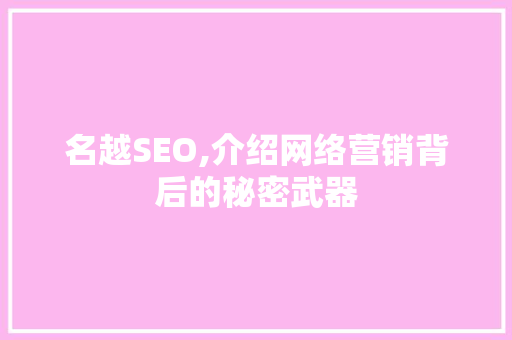 名越SEO,介绍网络营销背后的秘密武器