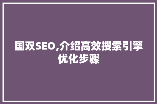 国双SEO,介绍高效搜索引擎优化步骤