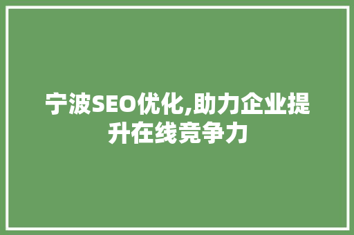 宁波SEO优化,助力企业提升在线竞争力