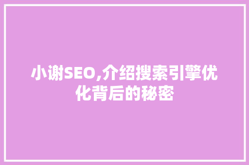 小谢SEO,介绍搜索引擎优化背后的秘密