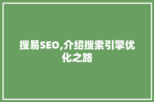 搜易SEO,介绍搜索引擎优化之路