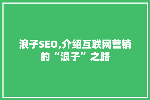 浪子SEO,介绍互联网营销的“浪子”之路