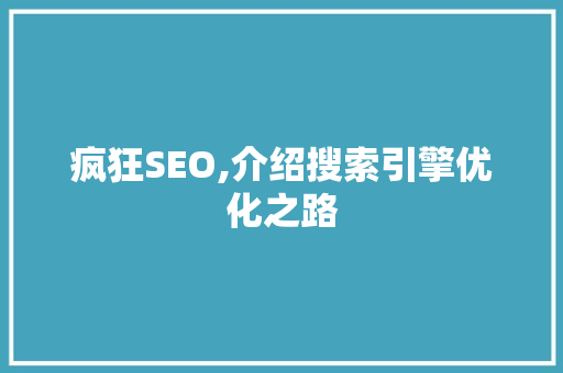 疯狂SEO,介绍搜索引擎优化之路 服务器/数据库