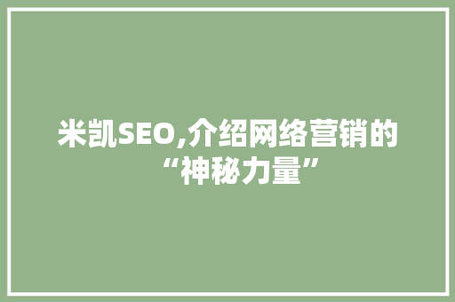 米凯SEO,介绍网络营销的“神秘力量”