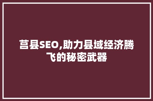 莒县SEO,助力县域经济腾飞的秘密武器