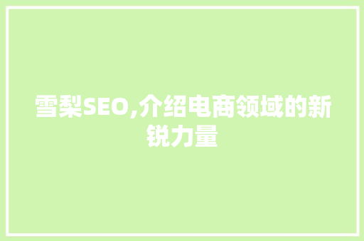 雪梨SEO,介绍电商领域的新锐力量