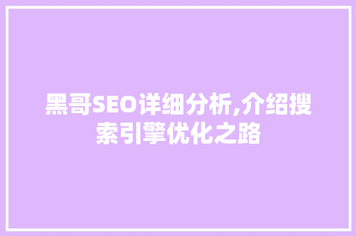 黑哥SEO详细分析,介绍搜索引擎优化之路