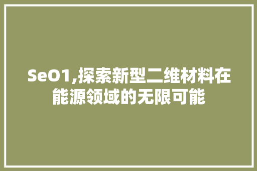 SeO1,探索新型二维材料在能源领域的无限可能